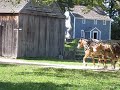 Sturbridge Mass