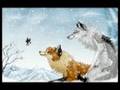 Wolves tribute - Nobody's Perfect