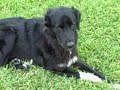Duke 9-12-08