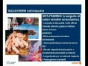 OSRAM - IR e Applicazioni lampade Infrared