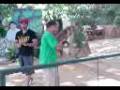 Chavit Singson's tiger show