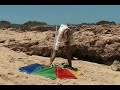 ningaloo and shark bay holiday