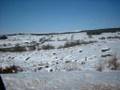 JJ Burnel - Girl From The Snow Country