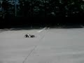 Tamyia Hornet GB-01 Brushless on fire (almost)