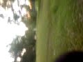 Freeride Freeride
