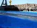 VIAGEM GOLFINHO