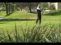 Holes Of Fame: TPC Of Tampa Bay No. 15