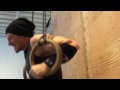 Click here to watch this video elementATHLETIC - Levi's Back Workout