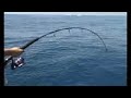 Jigging Atunes (2� Parte)