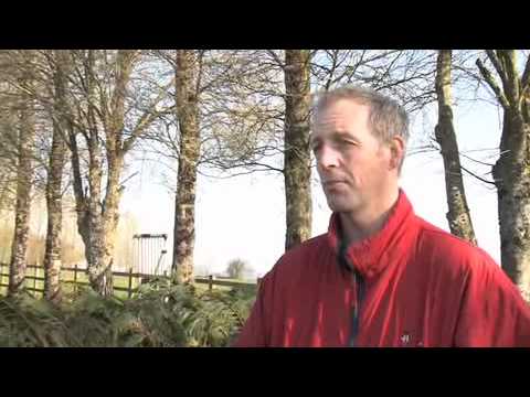 grand national 2012 grand national 2012