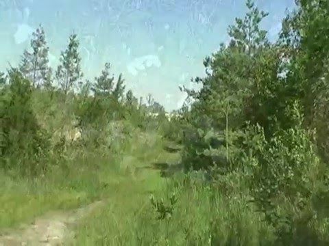 Sandbanks Provincial Park - Last Walk On The Dunes - Part 1