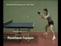 videos de timo boll backhand
