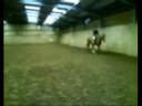 Dressage Test On H :)