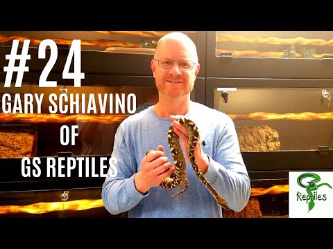 YouTube reptile video