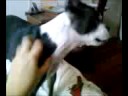 videos de d and me