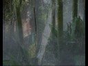 Just Like Paradise - Music For Body And Soul
