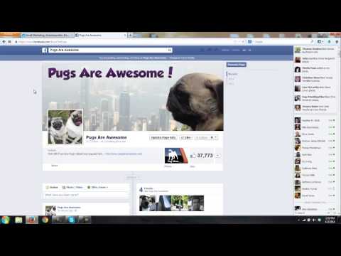 Email List Building with Facebook Fan Pages