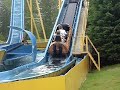 Water Log Ride