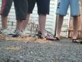 videos de Freddo Frog Freedom Fighters.wmv