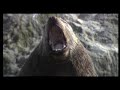 Alaska Land of Dreams
