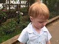 Ian In The Butterfly Room