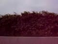 prison de loos