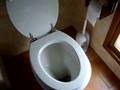 unblocking the toilet with a medioeval tutrure tool!!
