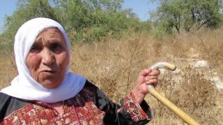 השיבה אל בֵּית נַבַּאלַא \ العودة إلى بيت نبالا المهجرة \ The return to Bayt Nabala השיבה אל בֵּית נַבַּאלַא \ العودة إلى بيت نبالا المهجرة \ The return to Bayt Nabala