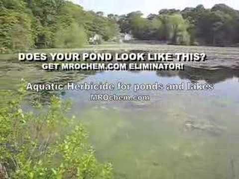 Aquatic Weed Killer www.mrochem.com ...