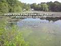 Aquatic Weed Killer http://www.mrochem.com vegetation