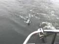 Salmon Fishing Northern California