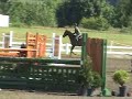 Galahad- Sold- Thank you Dale and Vicki!