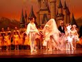 Cinderella The Wedding Cinderella The Wedding
