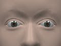 Actions of the ocular muscles