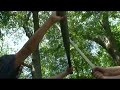 Awesome Fight 1 - Rise of the Swamp Beast