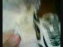 self tying shoelace trick with tutorial self tying shoelace trick with tutorial