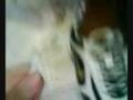 self-tying-shoelace-