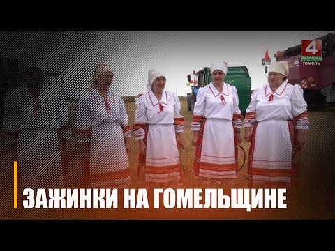 На Гомельщине скошено 12% озимых культур видео