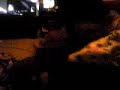 VID00016.mp4