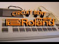 Circuit Bent Bend Roland Tr 505 clip 2