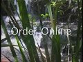 Spirit Of The Pan Flute Australia - Stunning Visuals