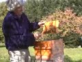 CCD Colony Collapse disorder