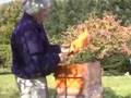 CCD Colony Collapse disorder