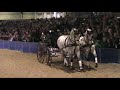 Saskia van Heesch Paard en Koets 2007 Saskia van Heesch Paard en Koets 2007