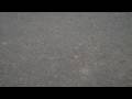 Chris Orser Landscaping   Salting 215 249-1236 watch hi def