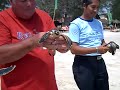 Turtle release on Gili paradise islands