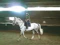 Riding Remix Riding Remix