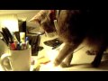 Statue Kitty 2