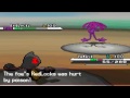 Click here to watch this video B/W Wifi Battle #282 - Morning coffee