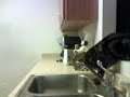 Cat Drinking From Faucet :)